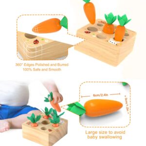 Ancaixin Montessori Toys for Babies 6-12 Months, Wooden Toys for 1 Year Old Boys and Girls, Educational Carrot Harvest Toy for Toddlers, Shape Sorting Matching Puzzle, Developmental Birthday Gifts