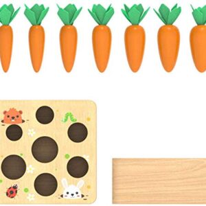 Ancaixin Montessori Toys for Babies 6-12 Months, Wooden Toys for 1 Year Old Boys and Girls, Educational Carrot Harvest Toy for Toddlers, Shape Sorting Matching Puzzle, Developmental Birthday Gifts