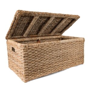 wholestory collective handwoven wicker 35" banana leaf rattan storage trunk and chest seagrass xl organizers with lid, natural color with handles