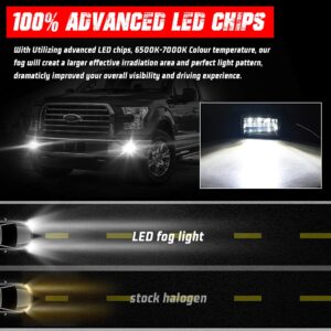 Tugwuetlwu Upgraded LED Fog Lights Compatible w/Ford F150 2015-2020 Super Duty, Rectangular Bumper Truck Driving Lamp Set Assembly Kit - Black [DOT Approved] [Plug n Play][Waterproof]