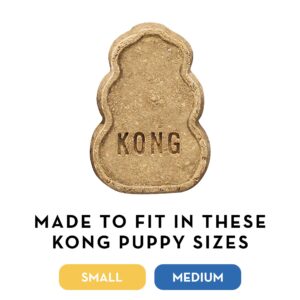 KONG - Dog Treat Combo - Easy Treat, Snacks and Ziggies - Puppy Treats for Small Puppies