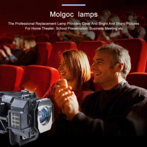 Molgoc V13H010L49 Replacement Lamp Compatible with Epson Home Cinema 8350 Bulb ELPLP49 H373a, H419a Projector lamp.