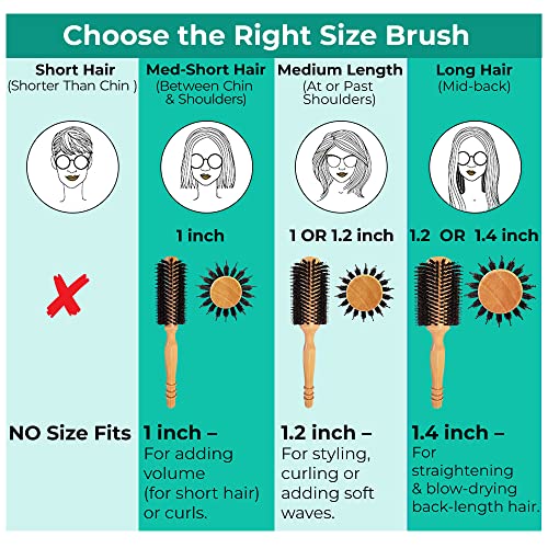 Wood Round Hair Brush with High-Density Boar Bristle for Blow Drying, Straightening, Styling Shoulder or Back Length Hair, Large Round Brush 1.2" Roller, 2.4" with Bristles