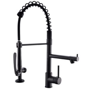 fapully black kitchen faucet,commercial pull down kitchen sink faucet with sprayer