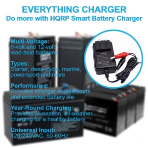 HQRP Fully Automatic 6V / 12V Sealed Lead Acid Smart Battery Charger SLA Maintainer Compatible with Car Truck Motorcycle, Alligator Clips