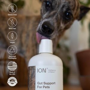 ION Intelligence of Nature Gut Support for Pets | Strengthens Digestion, Supports Kidneys, Aids Immune Function, and Defends from Food Toxins (8 Ounce)