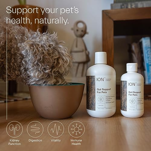 ION Intelligence of Nature Gut Support for Pets | Strengthens Digestion, Supports Kidneys, Aids Immune Function, and Defends from Food Toxins (8 Ounce)