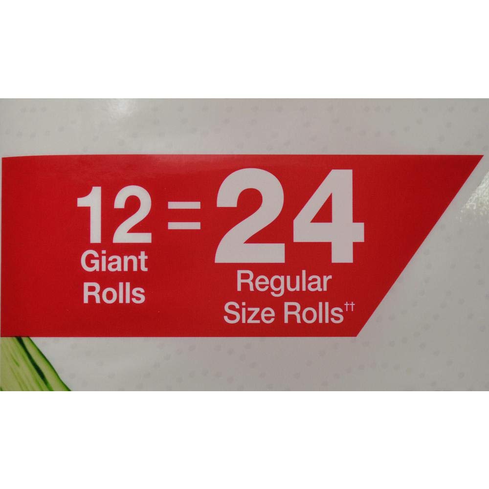 HDX Paper Towels (12-Roll)