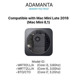 Adamanta 64GB (2x32GB) Memory Upgrade for 2020 Apple iMac 27" w/Retina 5K Display, 2019 Apple iMac 27" w/Retina 5K Display, 2018 Apple Mac Mini DDR4 2666Mhz PC4-21300 SODIMM 2Rx8 CL19 1.2v DRAM RAM