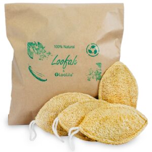 natural loofah exfoliating sponge (4 pack) - loofa body scrubber - loofah sponge - loofah exfoliating body scrubber - organic loofah - shower luffa sponges - exfoliating loofah - biodegradable loofah