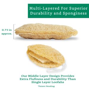 Natural Loofah Exfoliating Sponge (4 Pack) - Loofa Body Scrubber - Loofah Sponge - Loofah Exfoliating Body Scrubber - Organic Loofah - Shower Luffa Sponges - Exfoliating Loofah - Biodegradable Loofah