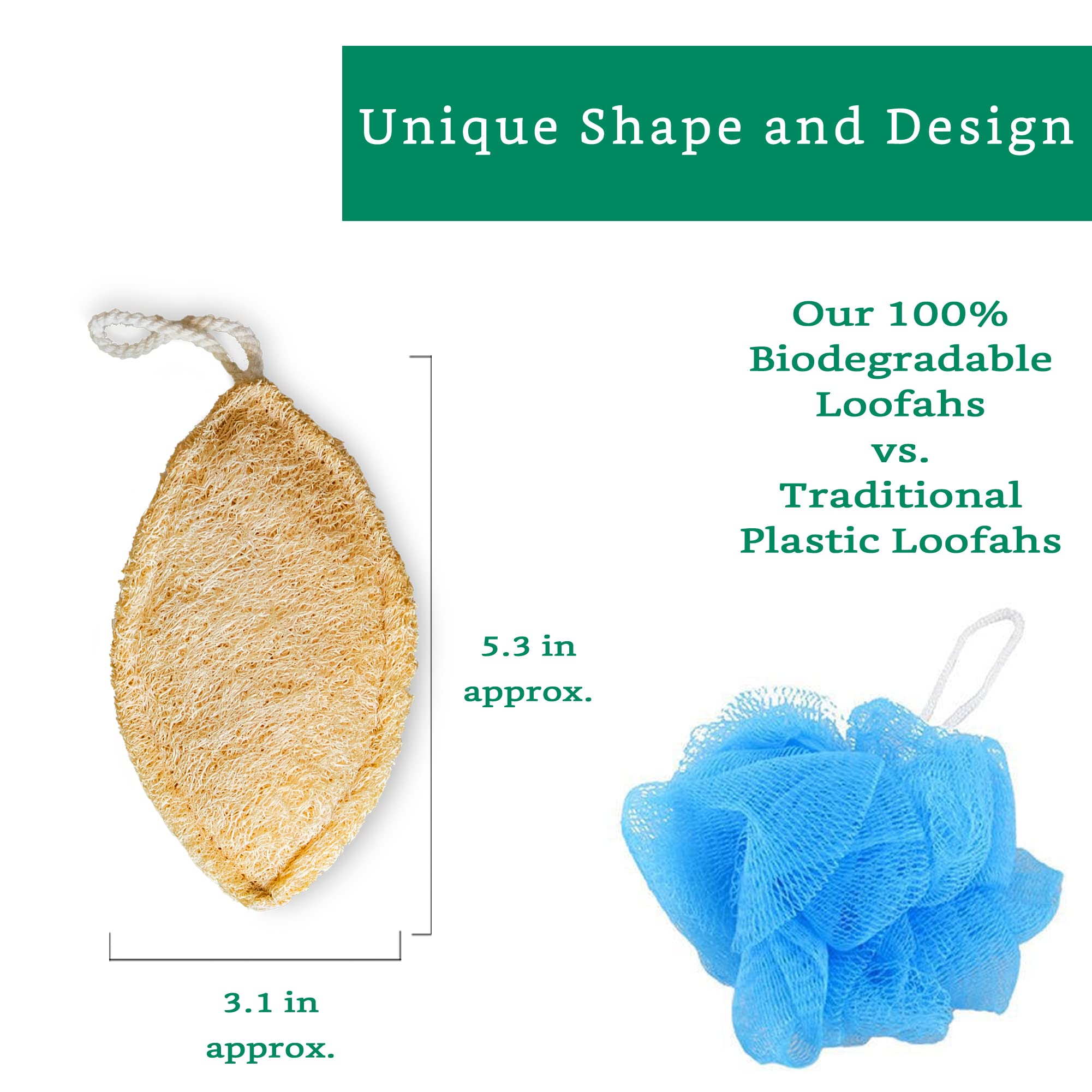 Natural Loofah Exfoliating Sponge (4 Pack) - Loofa Body Scrubber - Loofah Sponge - Loofah Exfoliating Body Scrubber - Organic Loofah - Shower Luffa Sponges - Exfoliating Loofah - Biodegradable Loofah