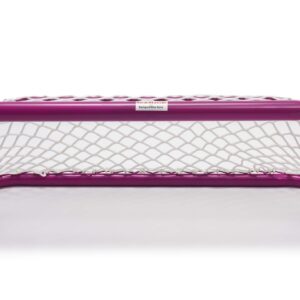 RinkMaster Pink Single Piece Heavy Duty 2 inch Welded Steel Pond Hockey Net for The Backyard Rink - 36" W x 12" H x 12" D - Safe Hockey net