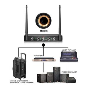 Debra Audio Pro UHF 4 Channel Wireless Microphone System with Cordless Handheld Lavalier Headset Mics, Metal Receiver, Ideal for Karaoke Church Party (with 2 Handheld & 2 Bodypack (A))