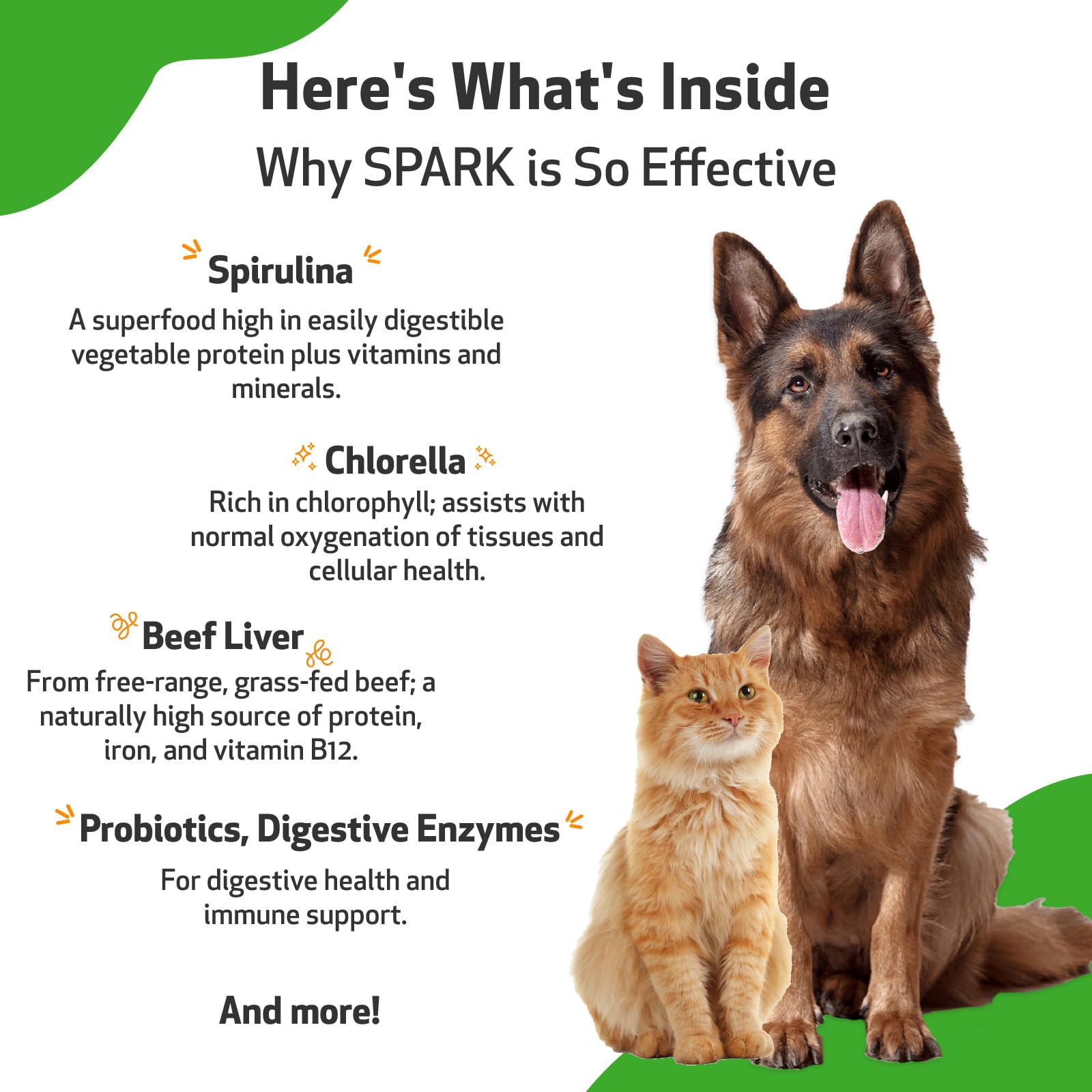 Pet Wellbeing Spark Daily Nutritional Greens Superfood for Dogs & Cats - Probiotics, Digestive Enzymes, Amino Acids, Antioxidants, Vitamin D, Spirulina & More - Vet-Formulated - 3.53 oz (100 g) Powder