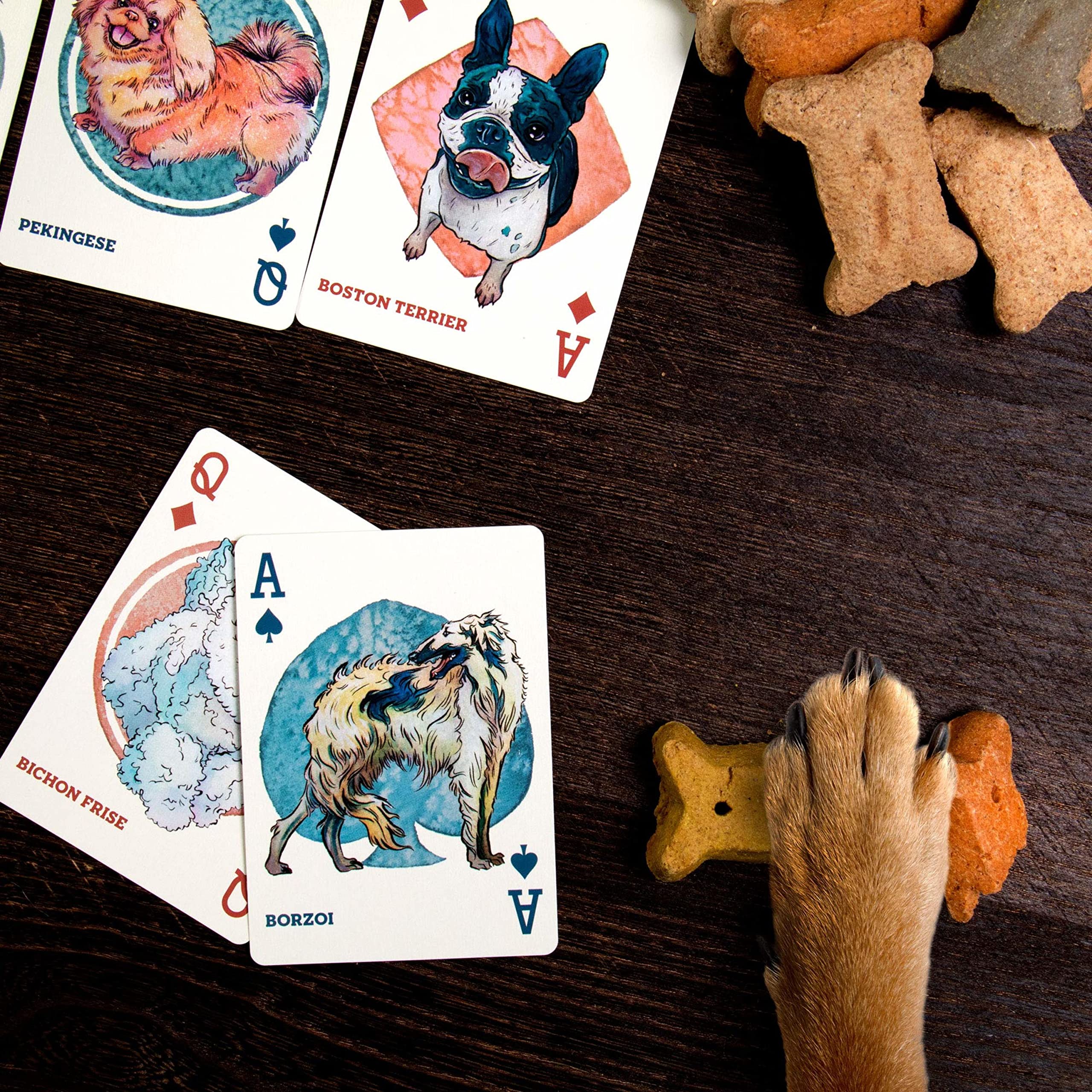 Dogs & Puppies Playing Cards - 100+ Dog & Puppy Illustrations, Two Decks of Assorted Breeds - Pictures of Pets for Animal Lovers - Family Games, Hobbies, & Collections - Cute Pet Themed Collectibles