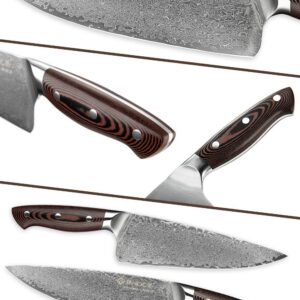 Damascus Chef Knife 8 Inch Kitchen Knives Professional Super Steel VG10 High Carbon Stainless Very Sharp Damascus Steel Knife Comfortable Ergonomic Micarta Handle Luxury Gift Box
