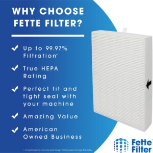 Fette Filter - 6 Pack of Premium True HEPA H13 Filter R Compatible with Honeywell Filter R for All HPA Series Air Purifier Part Number Filter R HRF-R3 HRF-R2 HRF-R1 HRF-ARVP300 HPA300