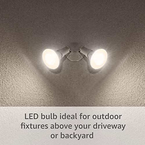 Ring PAR38 Smart LED Bulb, White (Bridge required)