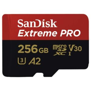 SanDisk 256GB Micro SDXC Extreme Pro Memory Card (2 Pack) Works with GoPro Hero 8 Black, Max 360 Cam U3 V30 4K Class 10 (SDSQXCZ-256G-GN6MA) Bundle with (1) Everything But Stromboli MicroSD Reader