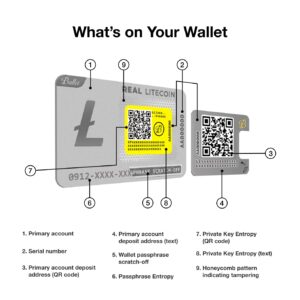 Ballet Real Litecoin - The Easiest Crypto Cold Storage Card - Cryptocurrency Hardware Wallet, Managing Your Crypto Assets, NFTS, Coins, (Single)