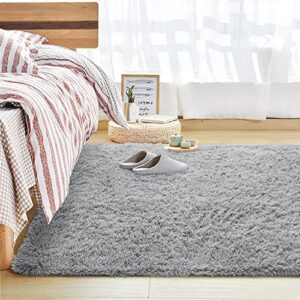 Andecor Soft Fluffy Bedroom Rugs, 5 x 8 Feet Indoor Shaggy Plush Area Rug for Boys Girls Kids Baby College Dorm Living Room Home Decor Floor Carpet, Grey