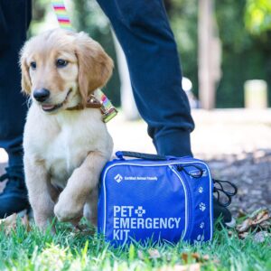 Perpetual Pet First Aid Kit with Vet Wrap, Styptic Powder, Bitter Spray & Veterinary Splint. Ideal for Hiking, Travelling, Camping, Outdoor & Indoor Activities