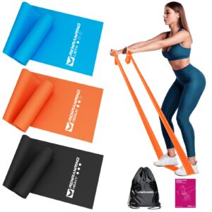 resistance bands for working out, exercise bands for physical therapy, stretch, recovery, pilates, rehab, strength training and yoga starter set