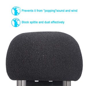 Windscreen Deadcat and Foam Cover for DR-05X DR-05 Mic Recorders, Indoor Outdoor Microphone Wind Muff by SUNMON