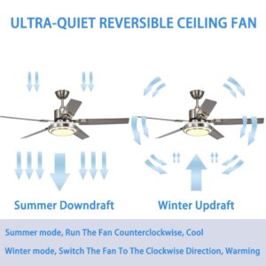 Andersonlight Reversible Ceiling Fan with Light and Remote Control, Stainless Steel, Silver (42in)