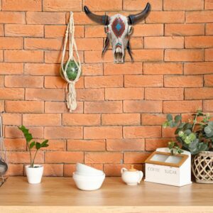 BestGiftEver Wall Hanging Rustic Southwest Tribal Style Bull Head Skull, 12.5 x 10.5 x 4 inches