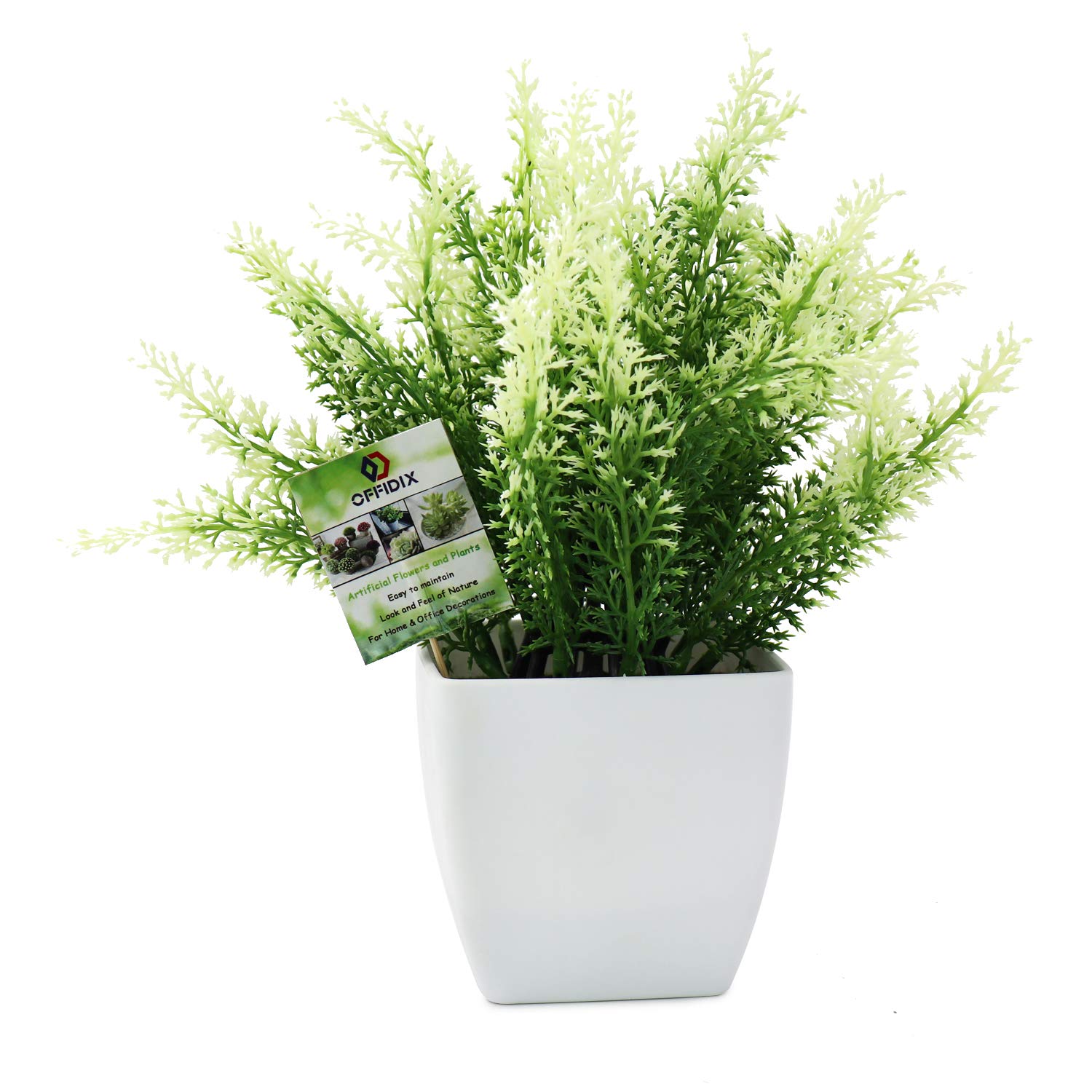 OFFIDIX Plastic Fake Green Plant, Faux House Plants Desk Plant Artificial Plants with White Square Vase for Farmhouse,Home,Garden,Office,Patio,Wedding and Indoor Outdoor Decoration 1pc