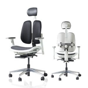 duorest [dual-backrests alpha - ergonomic office chair, home office desk chairs, executive office chair, best office chair for lower back pain, mesh office chair, office desk chair (white)