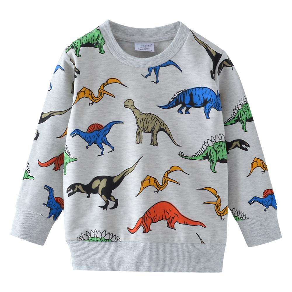 Toddler Sweatshirts Dinosaur Shirts Clothes for Boys Long Sleeve Cartoon Space Pullover Tops for Kids grey-8011 110/4T