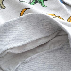 Toddler Sweatshirts Dinosaur Shirts Clothes for Boys Long Sleeve Cartoon Space Pullover Tops for Kids grey-8011 110/4T