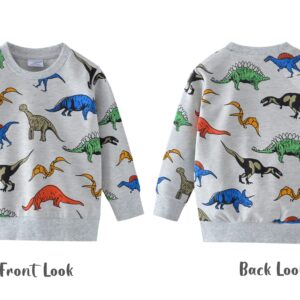 Toddler Sweatshirts Dinosaur Shirts Clothes for Boys Long Sleeve Cartoon Space Pullover Tops for Kids grey-8011 110/4T