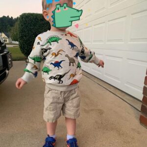 Toddler Sweatshirts Dinosaur Shirts Clothes for Boys Long Sleeve Cartoon Space Pullover Tops for Kids grey-8011 110/4T