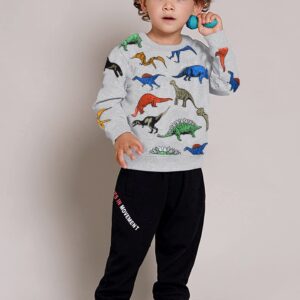 Toddler Sweatshirts Dinosaur Shirts Clothes for Boys Long Sleeve Cartoon Space Pullover Tops for Kids grey-8011 110/4T