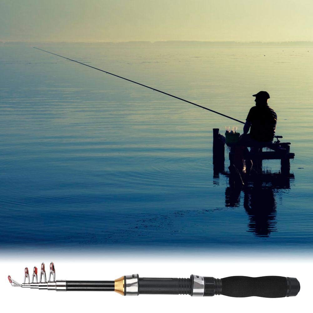 Fishing Rod, Small Sea Mini Fishing Pole Portable Rod Short Pole Ice Fishing Rod Mini Sea Fishing Tools 28049-100(1.2m)