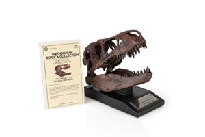 the nation's t-rex skull statue | smithsonian fossil replica | 6-inch tall tyrannosaurus rex desk statue | 1:10 scale