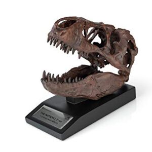 The Nation's T-Rex Skull Statue | Smithsonian Fossil Replica | 6-Inch Tall Tyrannosaurus Rex Desk Statue | 1:10 Scale