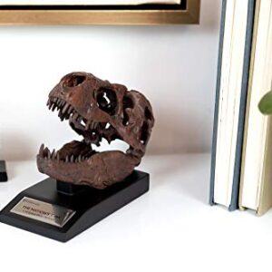 The Nation's T-Rex Skull Statue | Smithsonian Fossil Replica | 6-Inch Tall Tyrannosaurus Rex Desk Statue | 1:10 Scale