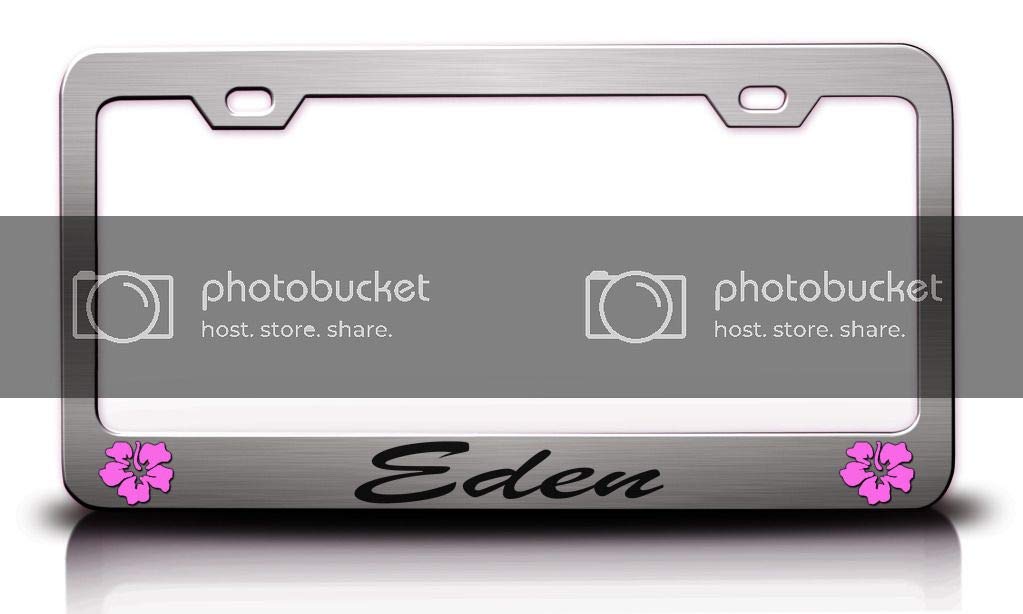 Custom Brother - Eden Female Name Hibiscus Metal Car SUV Truck License Plate Frame Ch r69