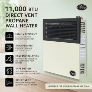 Ashley Hearth Products 11,000 BTU Direct Vent Liquid Propane Wall Mounted Heater with Piezo Lightning, Safety Pilot and Built In Regulator, Cream