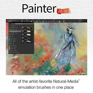 Painter 2020 Ml Education