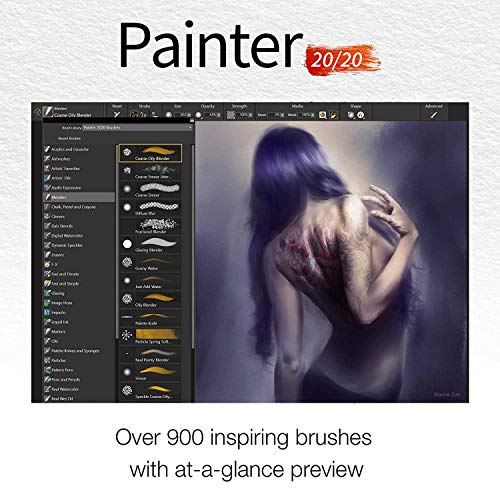 Painter 2020 Ml Education