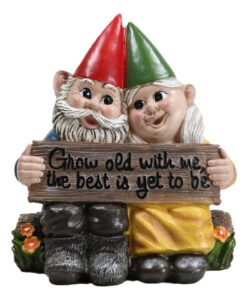 ebros whimsical mr and mrs gnome hobbit couple sitting on garden log statue 6.25" tall 'grow old with me the best is yet to be' gnomes home decor sculpture figurine