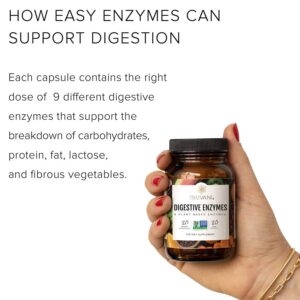 Truvani Digestive Enzymes | 9 Enzyme Blend | Digestive Support | Reduce Bloating | Increased Nutrient Absorption | Non-GMO Capsules| 30 Day Supply