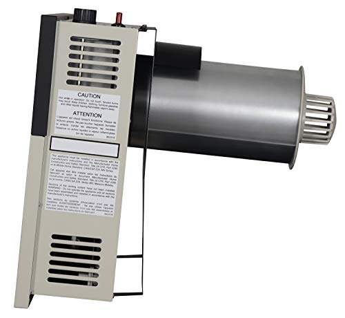 Ashley Hearth Products DVAG17N 17,000 BTU Direct Vent Natural Gas Heater, Cream