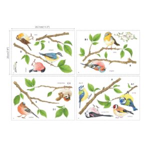 DECOWALL DS-8036 Garden Birds Kids Wall Stickers Wall Decals Peel and Stick Removable Wall Stickers for Kids Nursery Bedroom Living Room (Small) d?cor